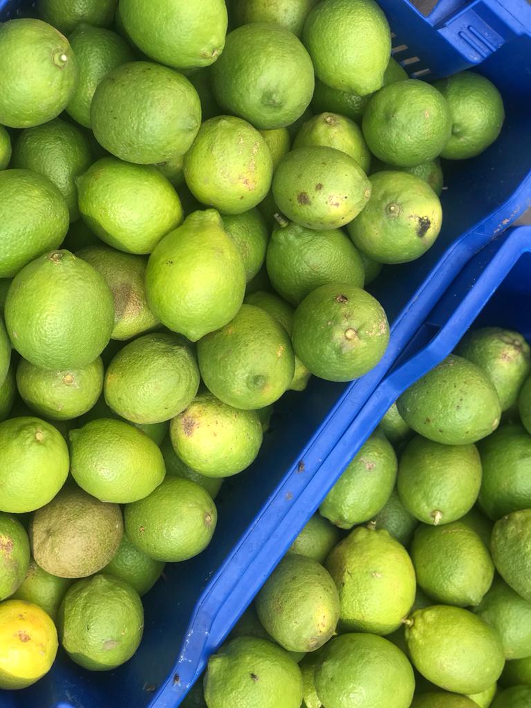 A picture of Lemons harvested
